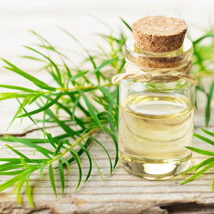 Teatree oil