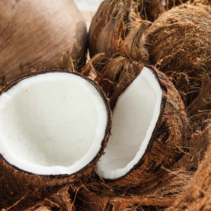 Coconut